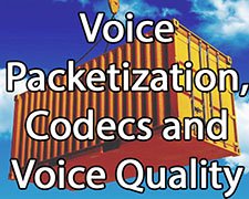 Course 2224 Voice Packetization, Codecs and Voice Quality 